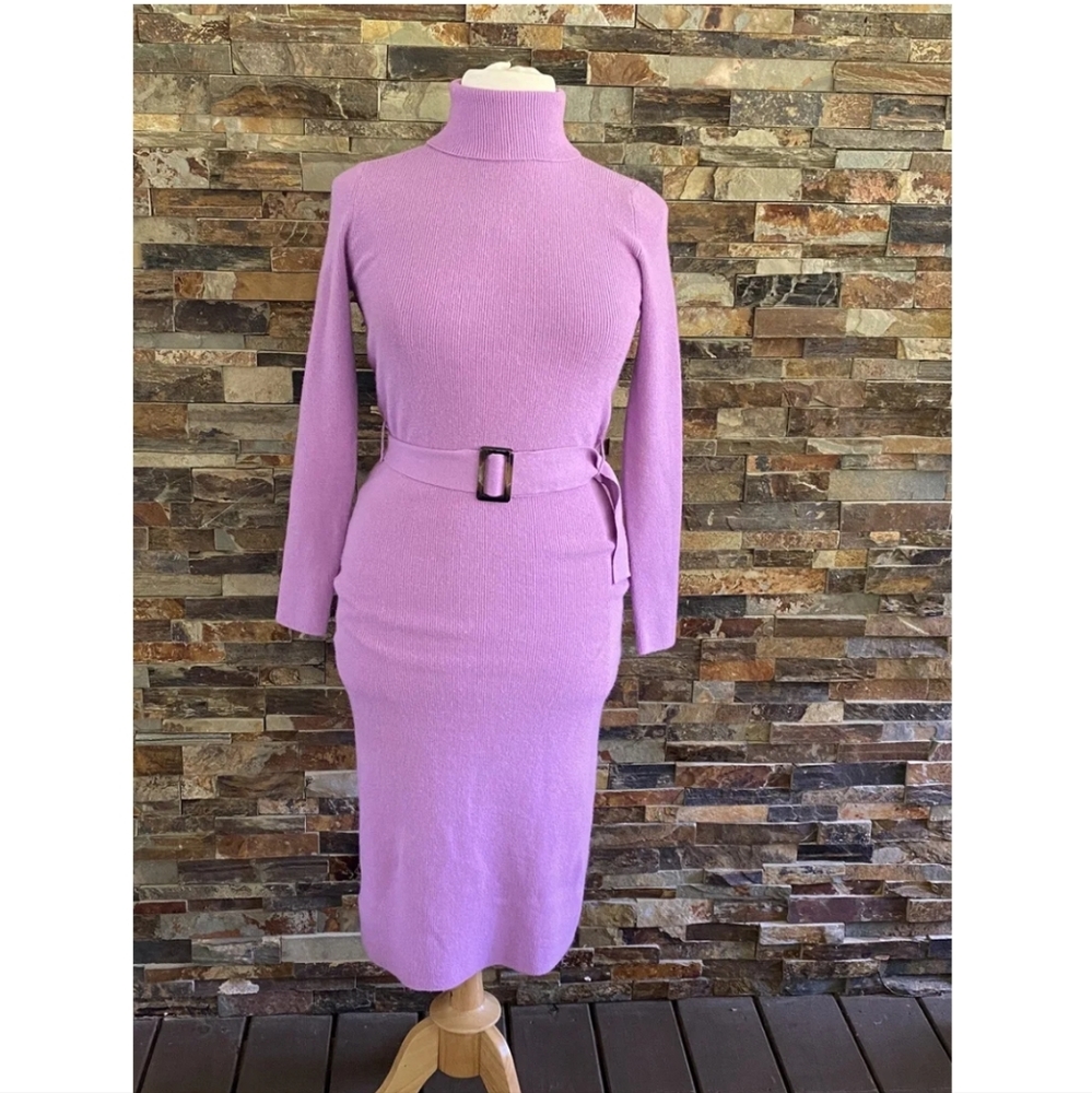 NWT Ann Taylor Belted Turtleneck Sweater Dress - Picture 5 of 5
